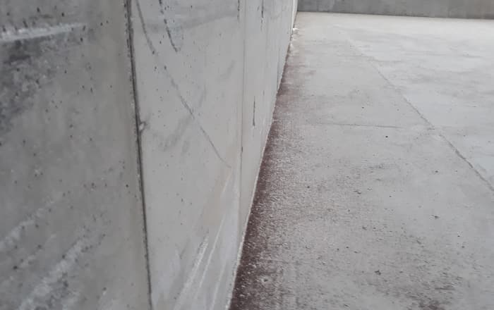 Fumigation Not Fully Effective In Controlling Certain Grain Cargo Pests.