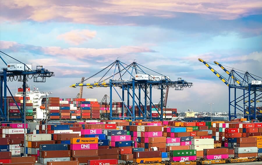 Making supply chains flexible to cope with global disruption
